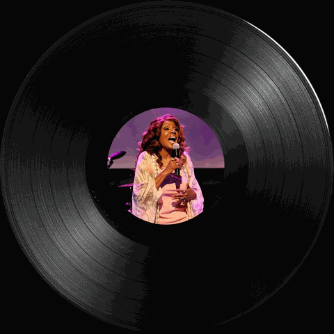 vynil_never_can_say_spinning.gif
