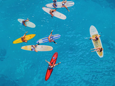 Surfing With Sharks – I Did It! Advice For Surfers