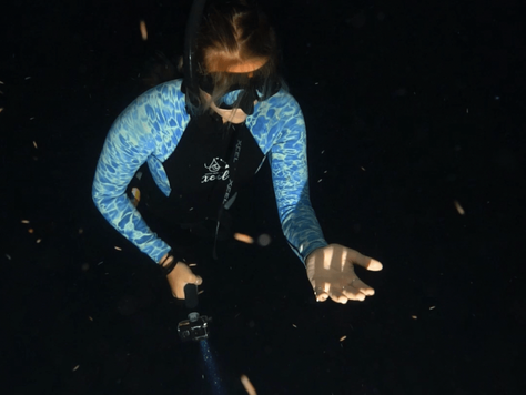 Facing Fears While Diving