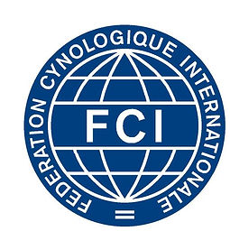 Logo_FCI_blau_513x515.jpeg