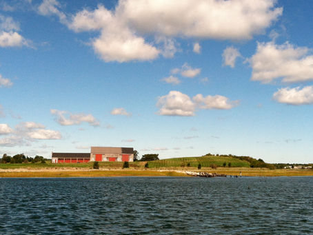Plan Your Fall Adventure in Essex, MA