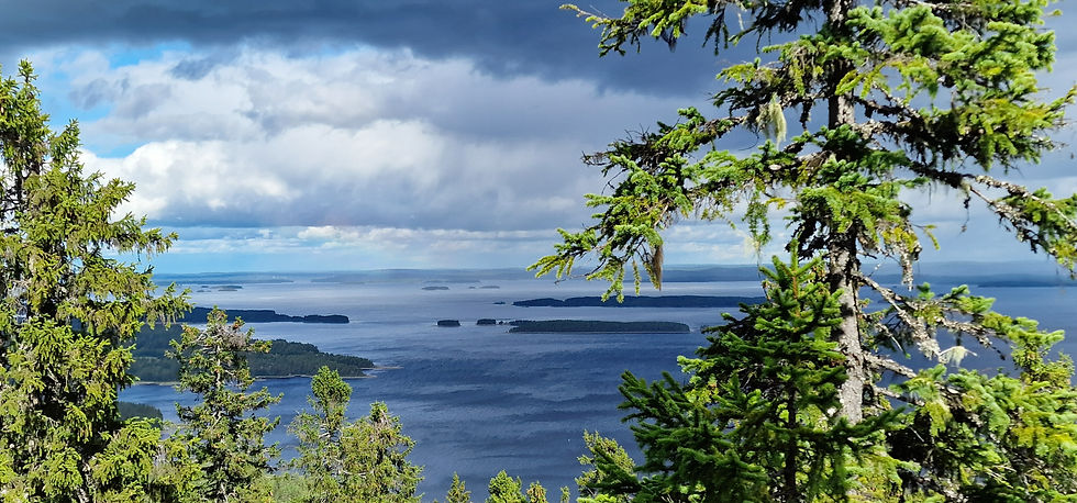 Point de vue de Ukko Koli