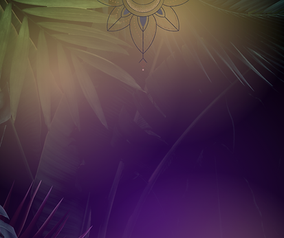 Screen Shot 2023-05-19 at 2.59.43 PM.png