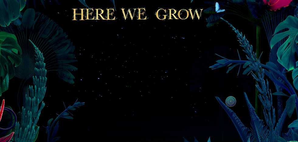 Website Banner (9).png