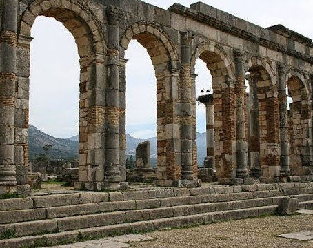 Meknes and Volubilis Day Trip from Fez