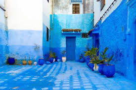 one day on the blue city