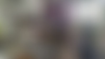 Journée portes ouvertes