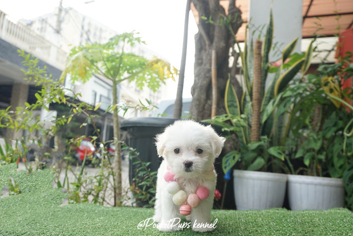 BeautyPlus_20221016095543373_save.jpg