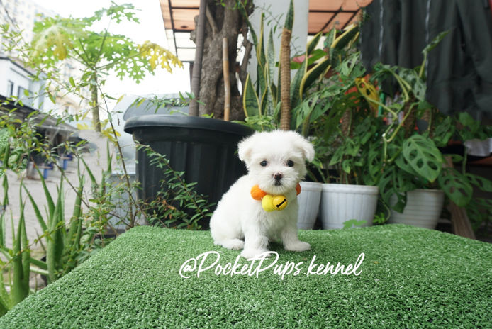 BeautyPlus_20221015144331240_save.jpg