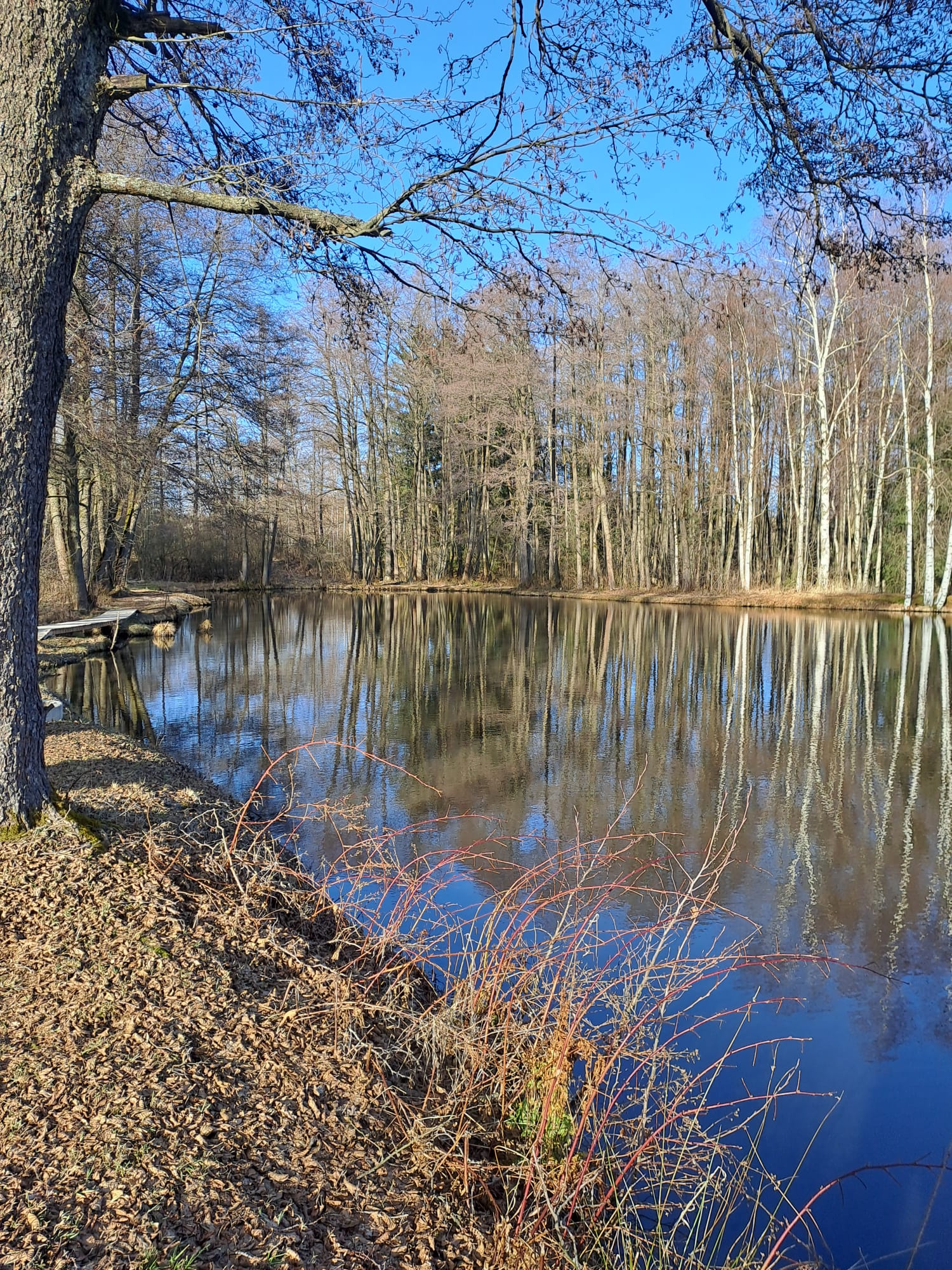 Impression am Vereinsgewässer