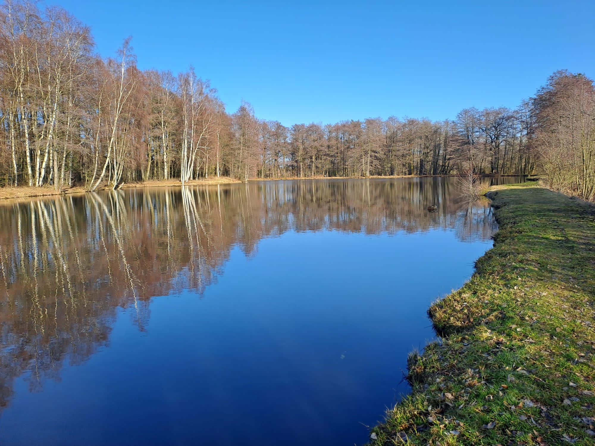Impression am Vereinsgewässer