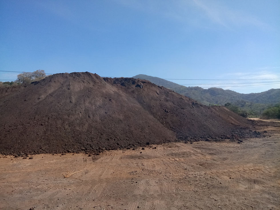 iron ore mexico