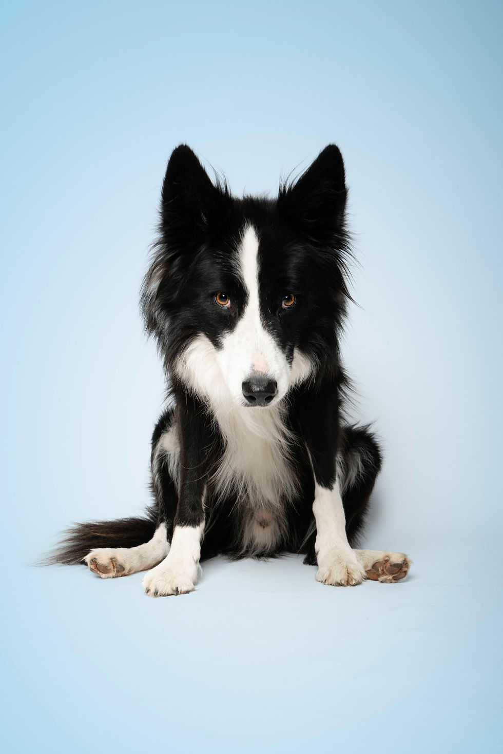 WhatsApp Image 2025-12-11 at 21.56.37