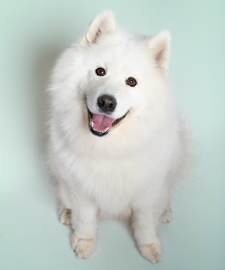 WhatsApp Image 2025-12-11 at 21.56.43 (1).jpeg