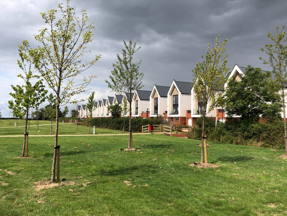 Tadpole Garden Village paddesign