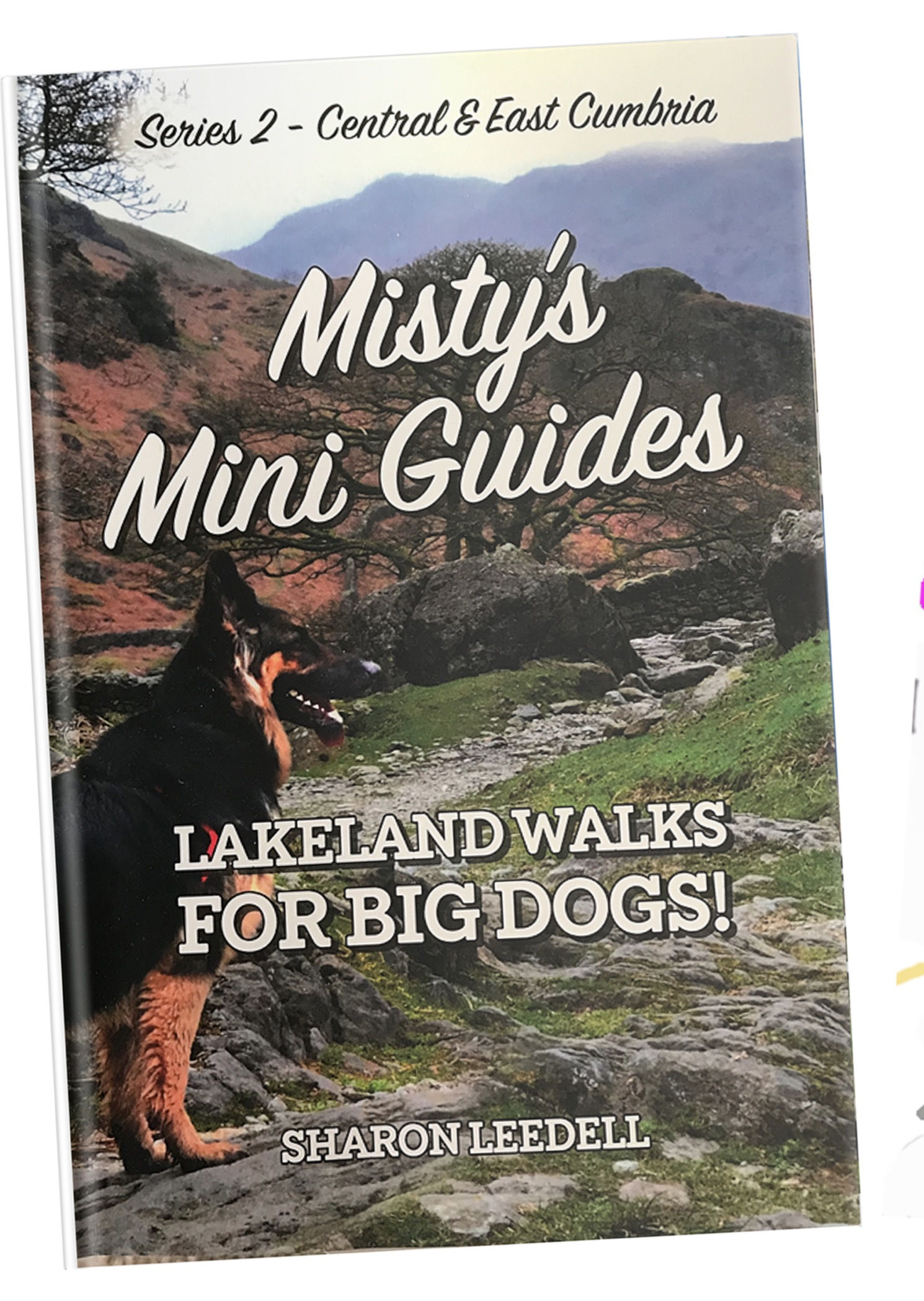 Book 2 - East & Central Lake District