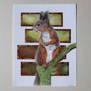 L'écureuil sur la branche