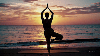 Booking site service, Online booking site service, Best booking services,