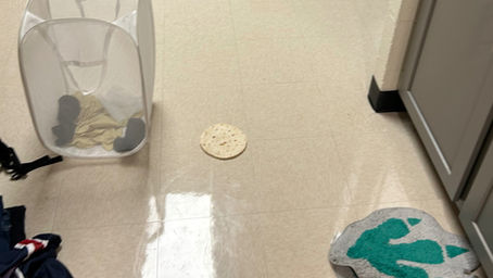 Tortilla Tossing has Students Flat-tered 