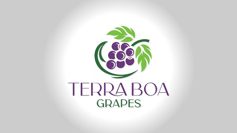 terra-boa