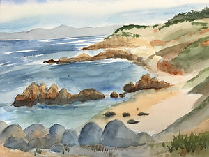 wc125a-Asilomar Coast.jpeg