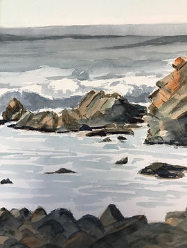 wc110a-Asilomar Coast.jpeg