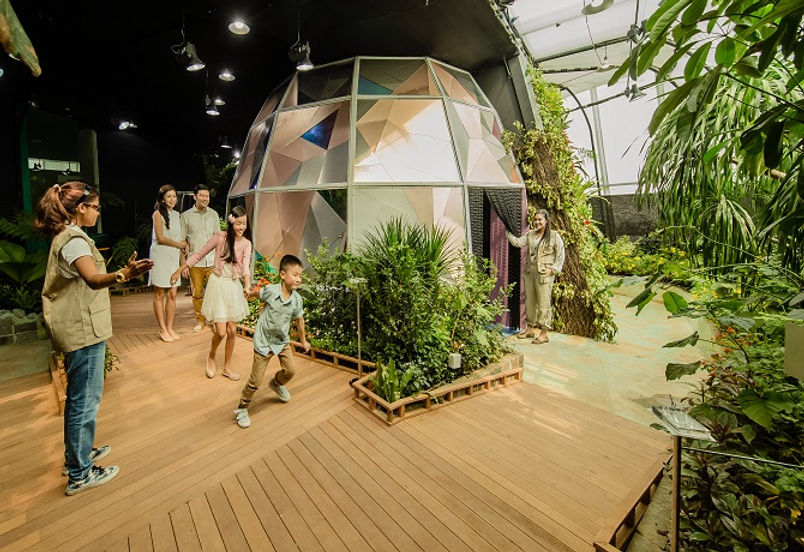 Butterflies Up Close