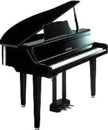 yamaha gt2_edited.png