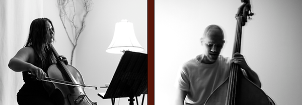 okapi banner1.png