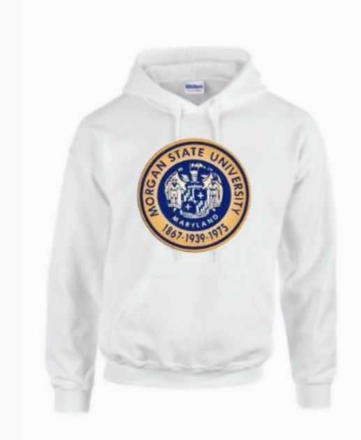Thumbnail: "NATIONAL TREASURE SEAL" Premium Hoodie