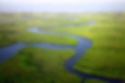 Gambian river winding through lush forest