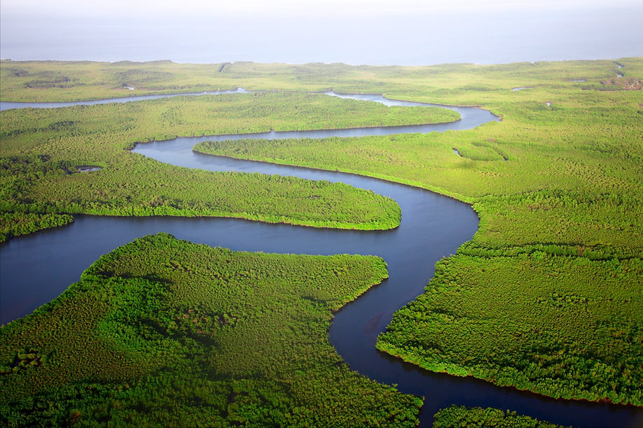 Gambian river winding through lush forest