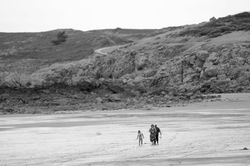 IMG_6356