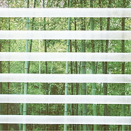 graphic blinds thumbnail.jpeg