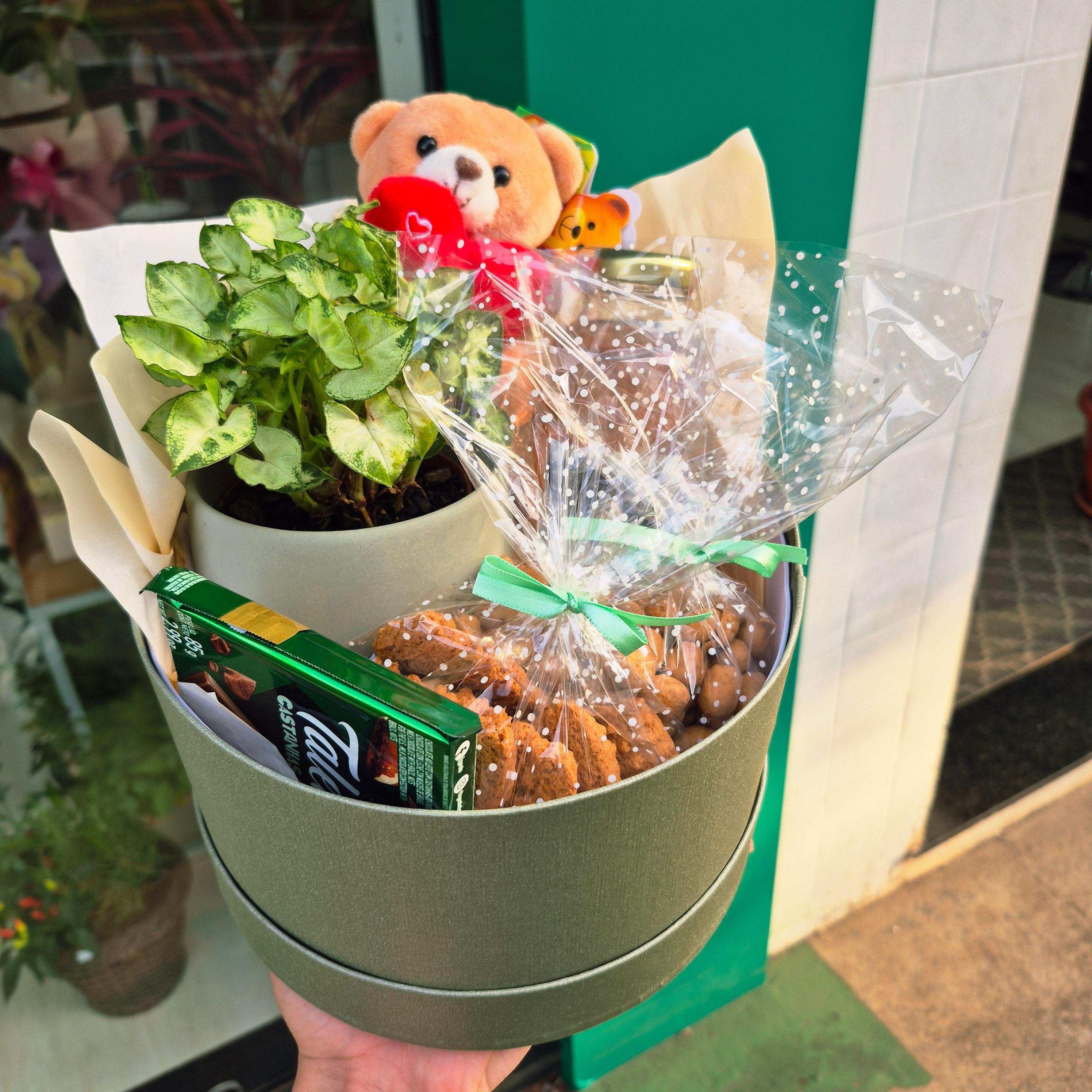Cesta Presente Verde Encanto Especial