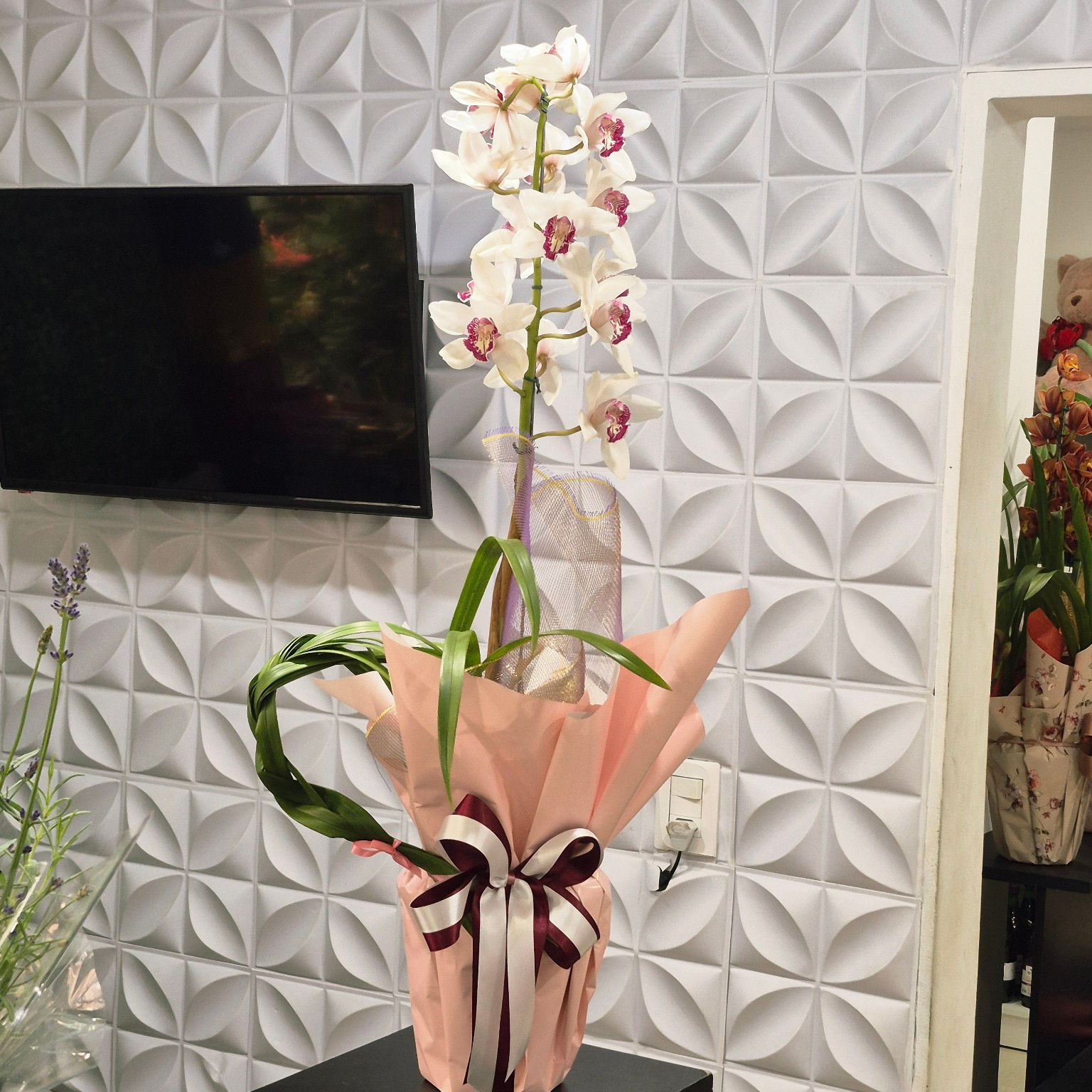 Orquídea Cymbidium Branca Especial