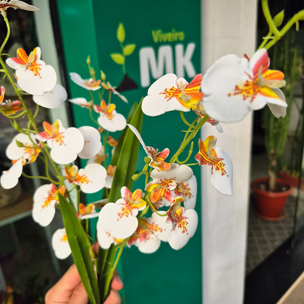 Miniatura: Orquídea Artificial