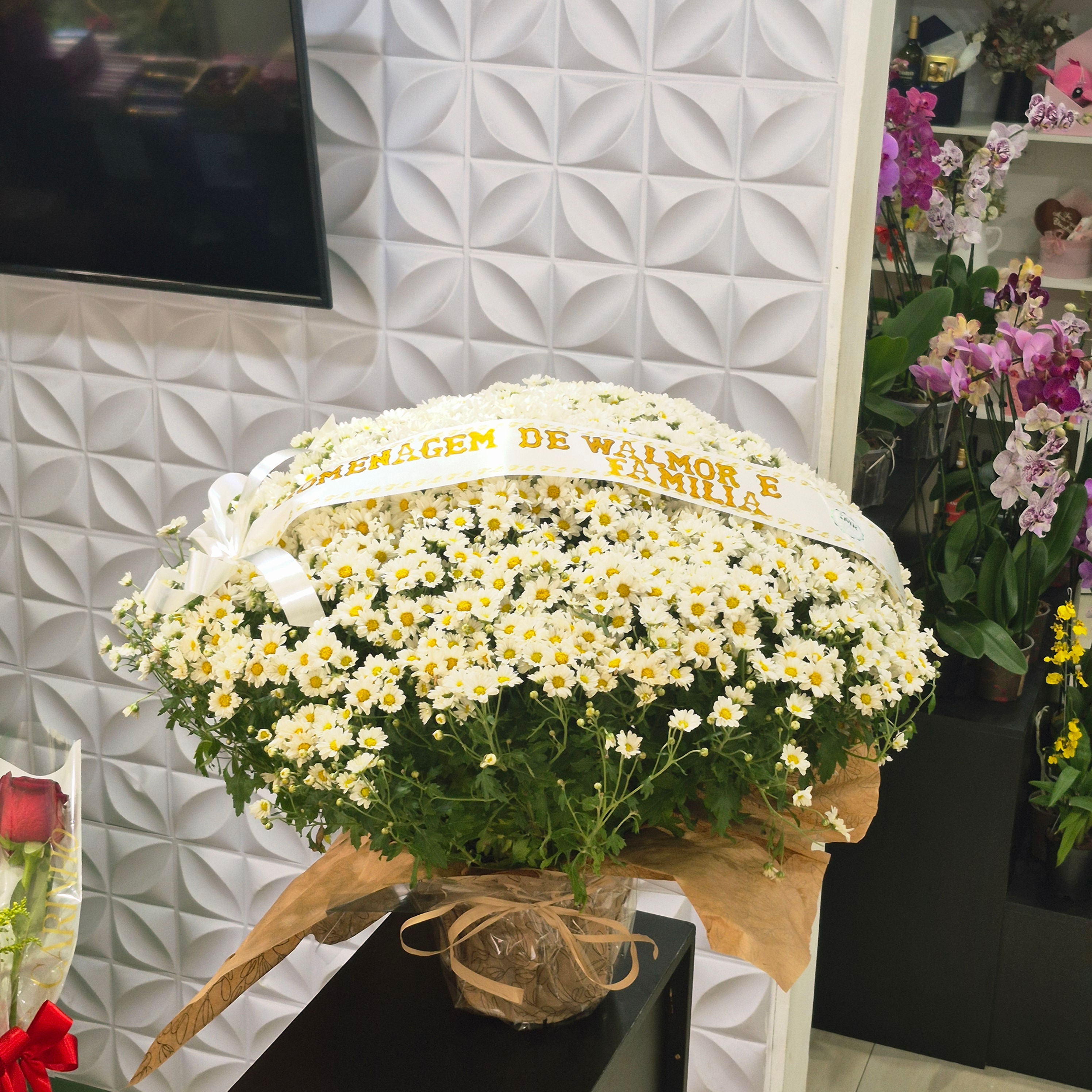 Bola Belga Grande Branca com Faixa Fúnebre