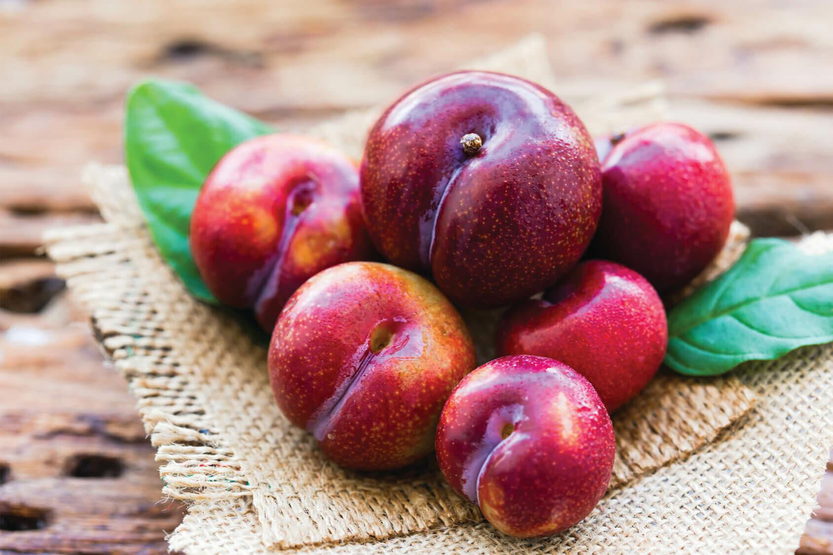 Ameixa Irati (Prunus salicina)