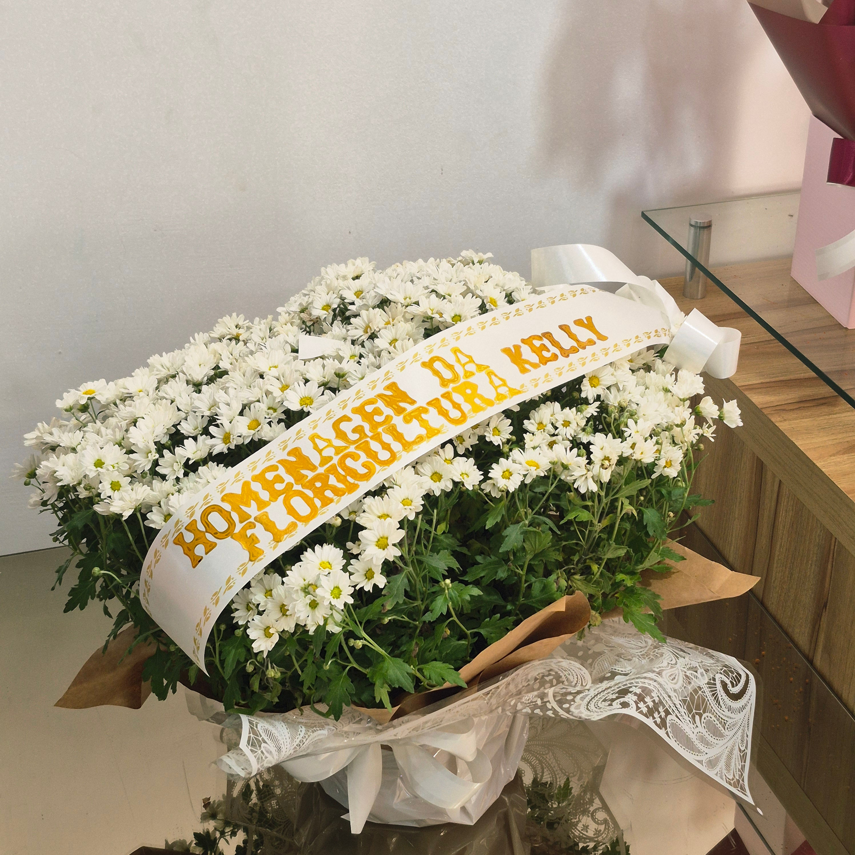 Crisântemo Branco para Homenagem — Pote 24