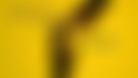 Prevenção ao Suicídio