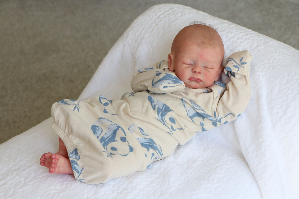 Thumbnail: Preemie Reborn Doll