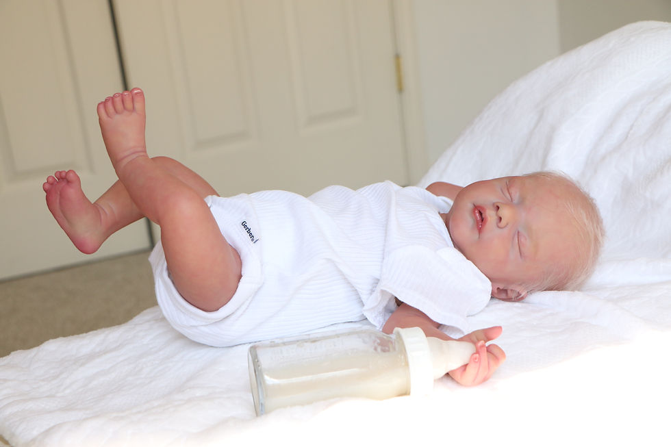 Thumbnail: Collaboration Reborn Baby Doll (2 Artists!)