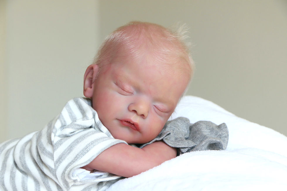 Thumbnail: Collaboration Reborn Baby Doll (2 Artists!)
