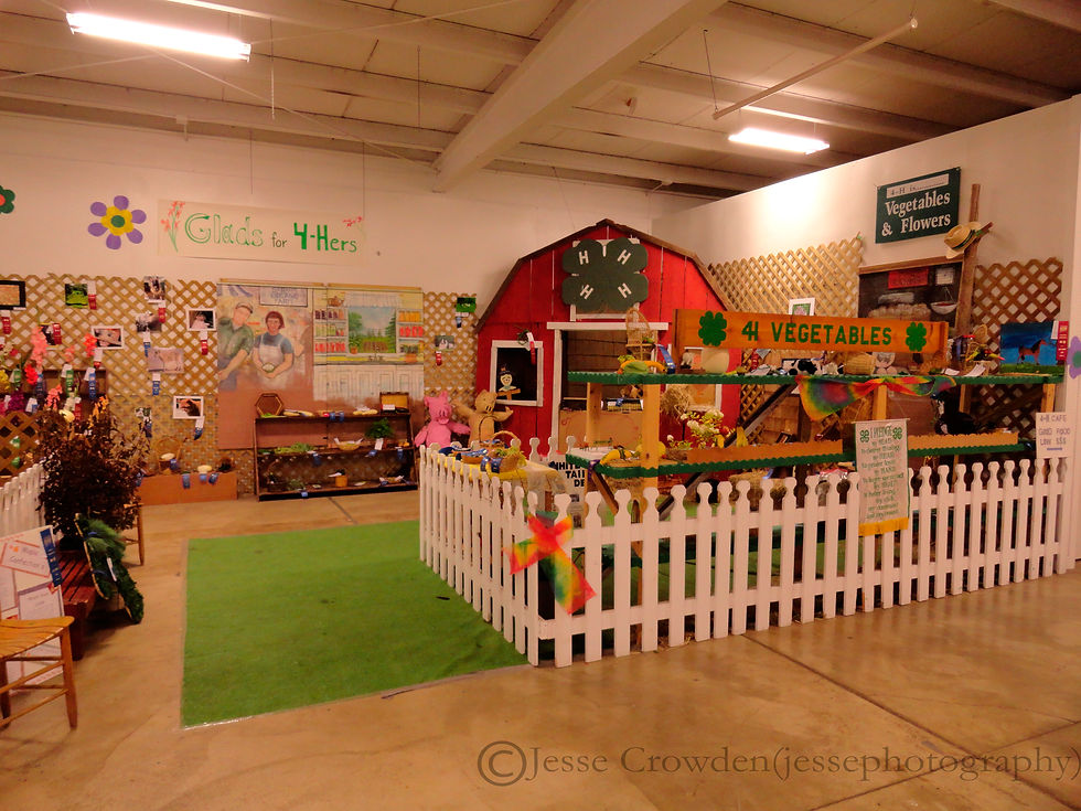 4-H Building Inside