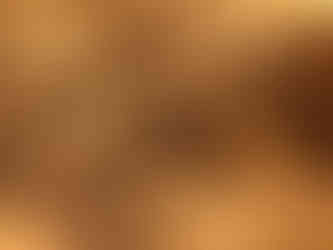 a photograph of two overlayed image (one of a tree canopy, one an arial photo of a brick building)