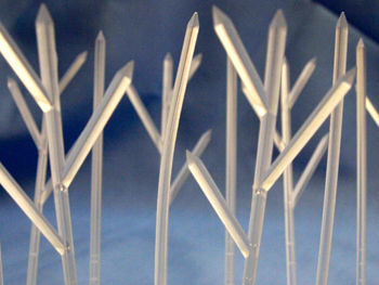 Spiked Staples: Spiny Housewares