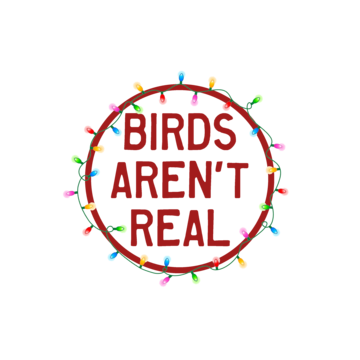 the 'Birds aren't real' logo surrounded by christmas lights