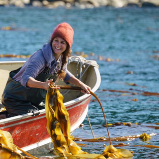 a woman wearing waders leans over the side of a boat to pull in kelp from the water 