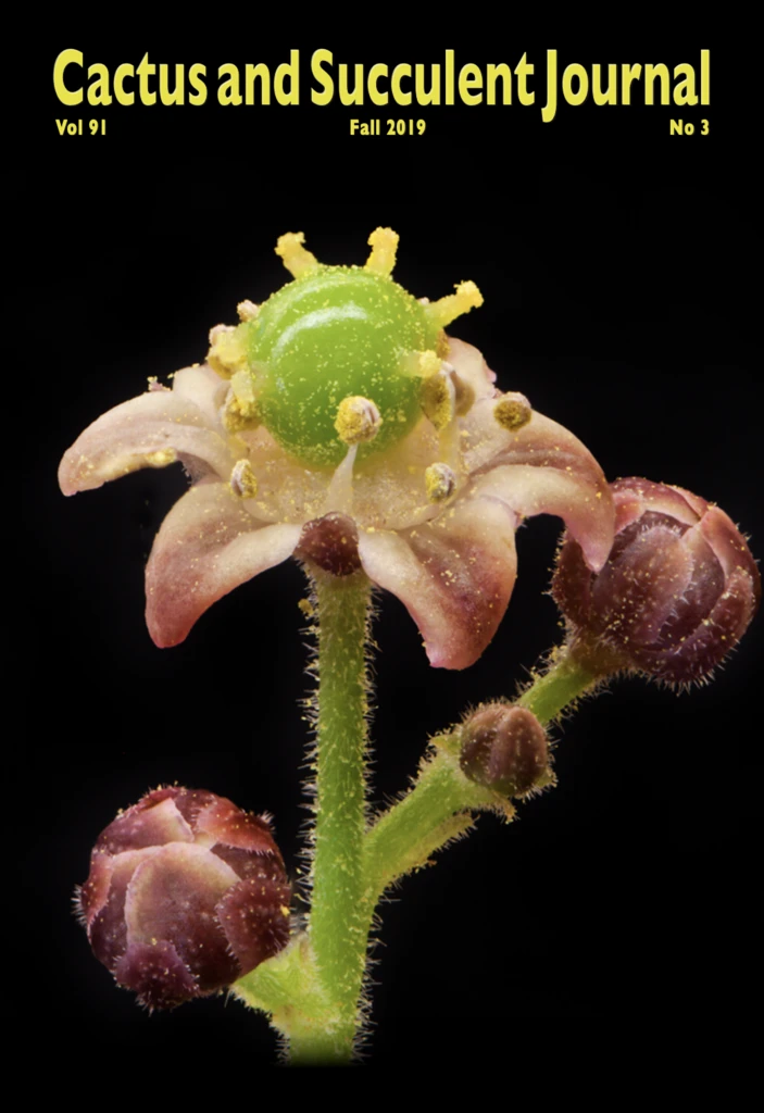 a cover of 'Cactus and Succulent Journal' featuring a closeup of a succulent on a black background with the title in bright green